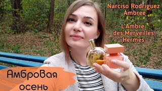 Влогобзор двух амбр☀️ Narciso Rodriguez Eau de Parfum Ambrée  LAmbre des Merveilles Hermes [upl. by Rodl]