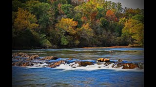 Kayaking the Ouachita River 2020 [upl. by Joycelin]