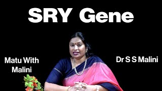 SRY gene  Prof Dr Suttur S Malini  MM [upl. by Leynwad]