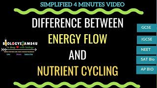 Difference between energy flow and Nutrient Cycling [upl. by Yboc632]