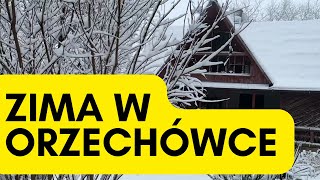 Zimowa wycieczka po Orzechówce grudzień 2022 [upl. by Grishilde]