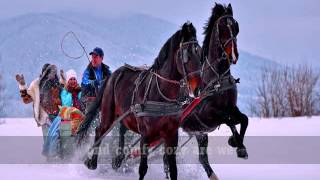 SLEIGH RIDE  The Carpenters Lyrics [upl. by Gnet]