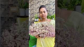 Mini Vlog 🪴Repotting Callisia Repens ‘Pink Lady’🧘‍♀️ ashnavlogs thaavaram shorts minivlog [upl. by Nivra]