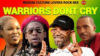 REGGAE MIX 2024REGGAE LOVERS ROCK WARRIORS DONT CRY BERES HAMMONDJAH CURESANCHEZDJ JASON [upl. by Luy729]