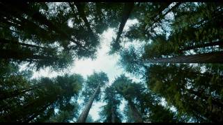 The Tree Of Life  trailer B 2011 Brad Pitt Sean Penn [upl. by Vidal626]