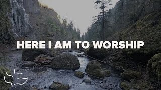 Here I Am To Worship  Maranatha Music Lyric Video [upl. by Zetrok]