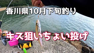 香川県10月下旬 ちょい投げキス釣り [upl. by Hewart]