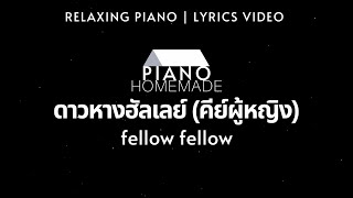 fellow fellow  ดาวหางฮัลเลย์ Halleys Comet  Relaxing Piano  Lyrics Video [upl. by Arvonio]