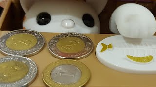 Rosela VLogs is live ORANGE PIGGY BANK EATING MY COINS SO FUNNY [upl. by Di]