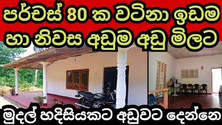 මුදල් හදිසියක් නිසා විකුණන පර්චස් 80 ක ඉඩම හා නිවස House for sale Land for sale  Agriculture land [upl. by Vescuso]