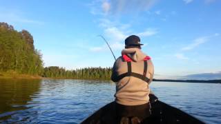 Saku Santtu amp AP Naamisuvanto 2014  Torniojoki salmon fishing in Tornio River in Lapland Finland [upl. by Seuqcaj]