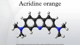 Acridine orange [upl. by Severin]