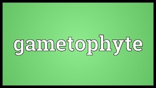 Gametophyte Meaning [upl. by Chery202]