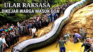 GEGER  ULAR RAKSASA DI KEJAR WARGA MASUK GOA PERTAPAAN [upl. by Ramsa]