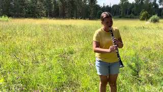 Sommarfeeling☀️ Visa vid vindens ängar 🌸🌾 klarinett cover Amanda [upl. by Ginnifer]