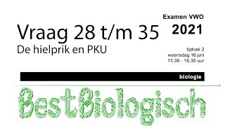 Biologie examen VWO 2021 2e tijdvak vraag 28 tm 35 [upl. by Sapers]