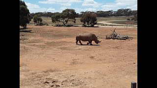 Monarto Zoo [upl. by Bohi]