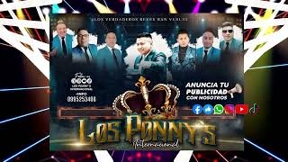 QUERIDOS AMIGOS  LOS PONNYS INTERNACIONAL 2024  AUDIO OFICIAL [upl. by Drol]