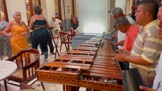 Marimba Veracruzana tocando quotEl cuarto de Tulaquot [upl. by Belier]