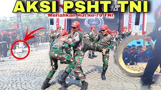 Aksi TNI🇲🇨💥Pencak silat Indonesia Psht TNIPersaudaraan Setia Hati [upl. by Ahtebbat]