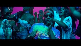 Maleek Berry  Eko Miami ft Geko Official Video [upl. by Lavella837]