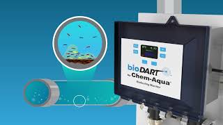 bioDART Biofouling Monitor [upl. by Dilan]