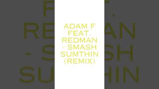 Adam F feat Redman  Smash Sumthin remix [upl. by Mcnamara]