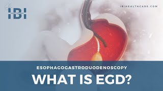 Animation What Is an EGD Procedure [upl. by Eibo]