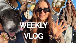 WEEKLY VLOG  nowy członek rodziny👶  wybór szkliwa na kubki 🍵  testy auta  dużo piesów 🐕 [upl. by Adnalahs]