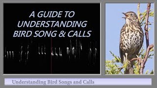 A GUIDE TO UNDERSTANDING BIRD SONG AND CALLS [upl. by Suiluj]