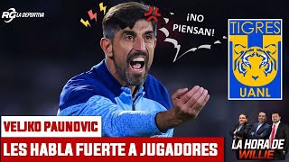 Paunovic está perdiendo la paciencia en Tigres  La Hora de Willie [upl. by Ednew]