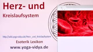 Herz und Kreislaufsystem [upl. by Brace]