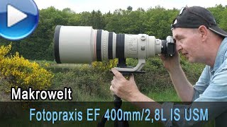 Canon EF 400mm  28L IS USM in der Fotopraxis [upl. by Harad]