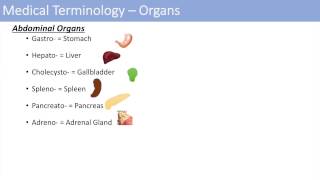 Medical Terminology  The Basics  Lesson 1 [upl. by Ardnaet]