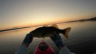 Fall Kayak Fly Fishing Decker Lake Texas [upl. by Ahsiuqram785]