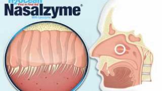 Neti Pots and Nasal irrigation simplified [upl. by Faletti]