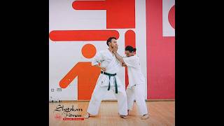 Training application for Uraken Uchi  Yoko Geri Keage  Heian Nidan Shotokan Karate Kata [upl. by Ojimmas]