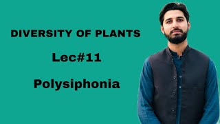 Lec11  Polysiphonia  Diversity of Plants  HS BIOLOGY [upl. by Ailla166]