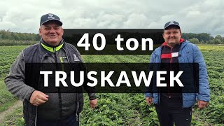 40 ton z każdej plantacji truskawek  Zbyszek Marek [upl. by Alaham]