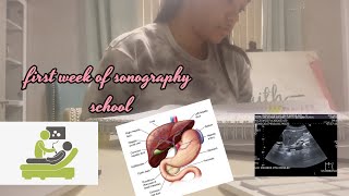 Pros amp Cons of being an ULTRASOUND TECH  SONOGRAPHER OB 💻🥼✨ [upl. by Robby387]