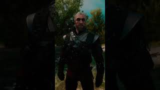 Legendary Witcher Armor Witcher 3 Next Gen [upl. by Nager]