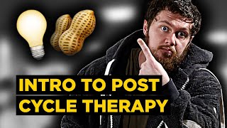 The BASICS of Post Cycle Therapy and OnCycle Support for BEGINNERS How to KEEP the Lights ON 💡🥜 [upl. by Darcey943]