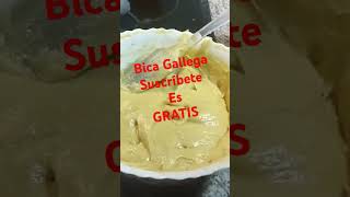 Bica Gallega te enseñamos hacerla bizcocho food bizcochosaludable shortvideo youtubeshorts new [upl. by Nniuqal979]