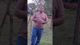 PASTOR ALEX ORANTES SALMOS 2710 📖⚘️🌿🌾Shortviral News Short Reflexiones palabrasdevida [upl. by Freida]