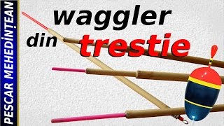 Waggler din trestie [upl. by Judus]