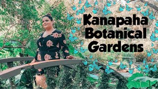 Kanapaha Botanical Gardens [upl. by Henka]