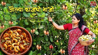 Traditional Olya Kajuchi Bhaji  म्होवला  Cashew Nuts Dessert  Village Cooking  Red Soil Stories [upl. by Stanfield]