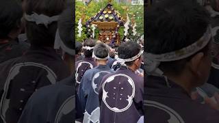 ド迫力の丸金半纏 2023 三社祭 神輿 高橋組 西浅三北 東京浅草 刺青 Sanja Matsuri portable shrine japanese tattoo Festival shorts [upl. by Nueoht]