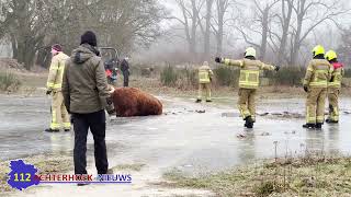 in natuurpark de Zumpe in Doetinchem [upl. by Atkins]