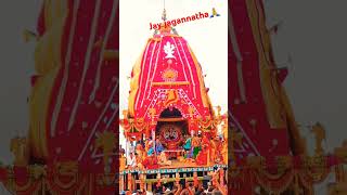 Jate jauchi mo bayasa gadi bhajan songଜୟ ଜଗନ୍ନାଥ🙏🙏subscribe coment likejagannatha bhajan [upl. by Hoban]